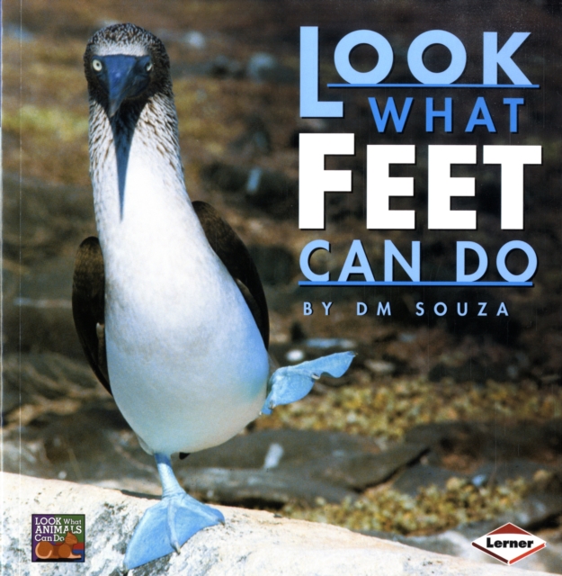 Look What Feet Can Do, Paperback Book
