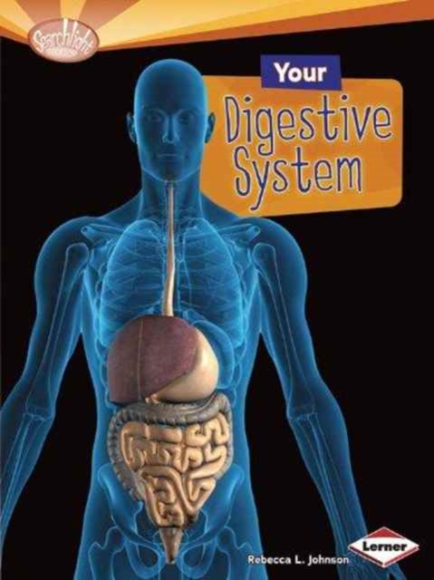 Your Digestive System, Paperback / softback Book
