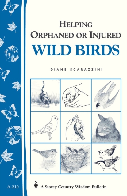Helping Orphaned or Injured Wild Birds : Storey's Country Wisdom Bulletin A-210, Paperback / softback Book