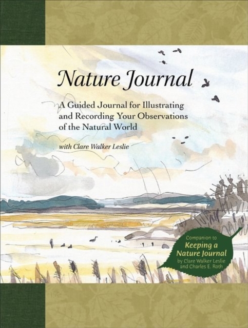 Nature Journal : A Guided Journal for Illustrating and Recording Your Observations of the Natural World, Hardback Book