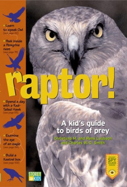Raptor! : A Kid's Guide to Birds of Prey, Paperback / softback Book