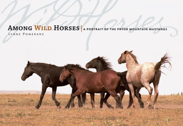 Among Wild Horses : A Portrait of the Pryor Mountain Mustangs, Hardback Book