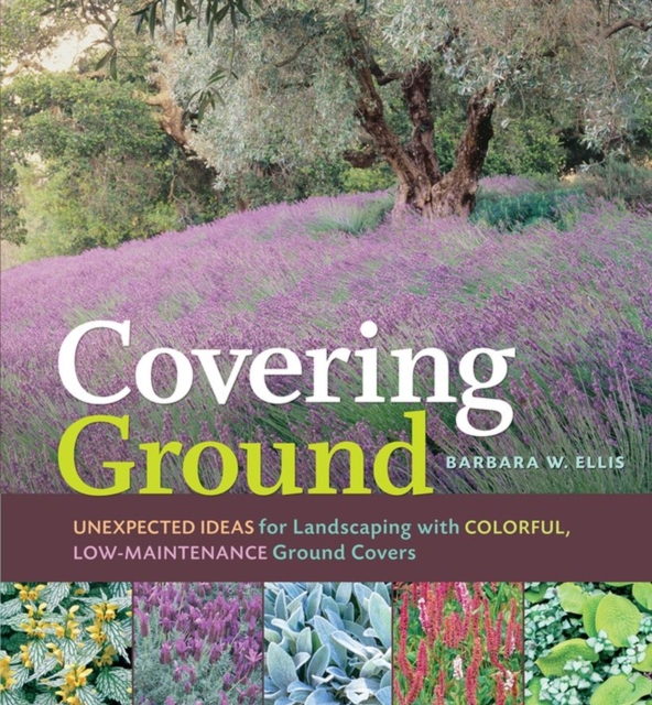 Covering Ground, Paperback / softback Book