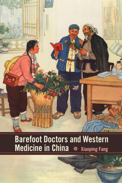 Barefoot Doctors and Western Medicine in China, PDF eBook
