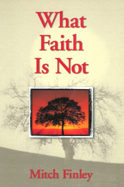 What Faith Is Not, Paperback / softback Book