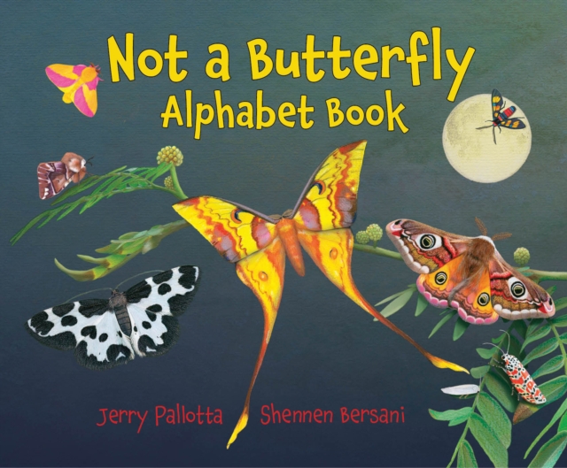 Not a Butterfly Alphabet Book, Hardback Book