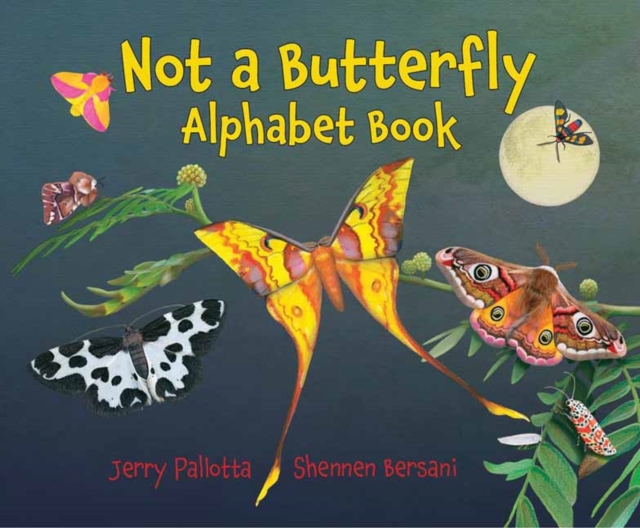 Not a Butterfly Alphabet Book, Paperback / softback Book