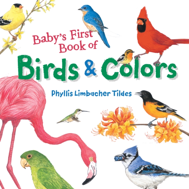 Baby's First Book of Birds & Colors, Board book Book
