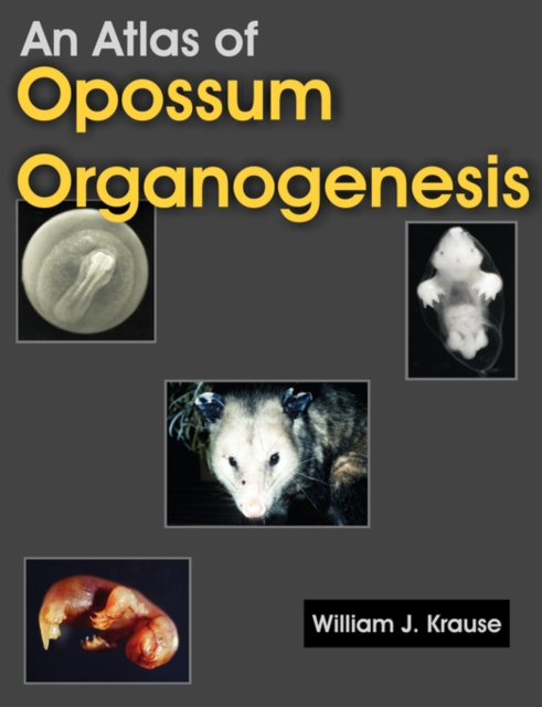 An Atlas of Opossum Organogenesis : Opossum Development, Paperback / softback Book