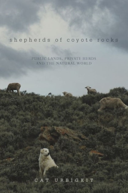 Shepherds of Coyote Rocks : Public Lands, Private Herds and the Natural World, Paperback / softback Book