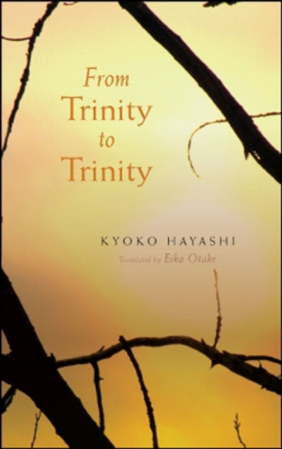 From Trinity to Trinity, Paperback / softback Book