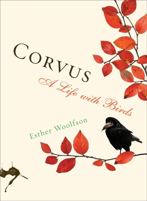 Corvus : A Life with Birds, Paperback / softback Book