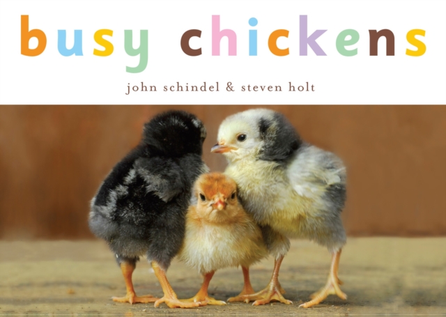 Busy Chickens, Board book Book