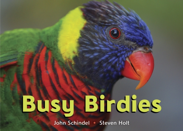 Busy Birdies, Board book Book