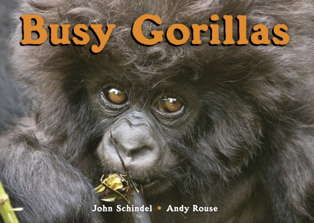 Busy Gorillas, Board book Book