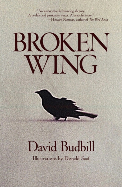 Broken Wing, Paperback / softback Book