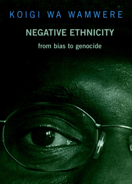 Negative Ethnicity : From Bias to Genocide, Paperback / softback Book