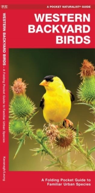 Western Backyard Birds : A Folding Pocket Guide to Familiar Urban Species, Pamphlet Book