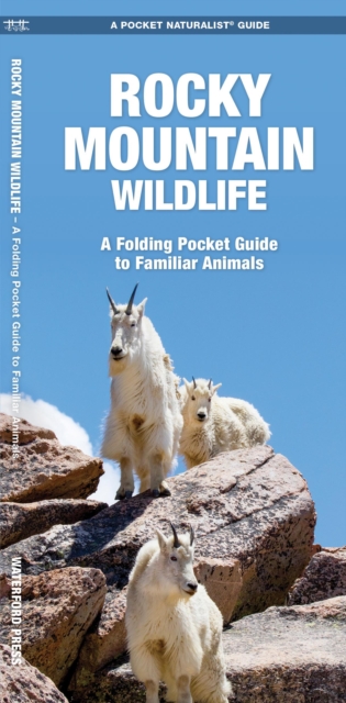 Rocky Mountain Wildlife : A Folding Pocket Guide to Familiar Species, Pamphlet Book