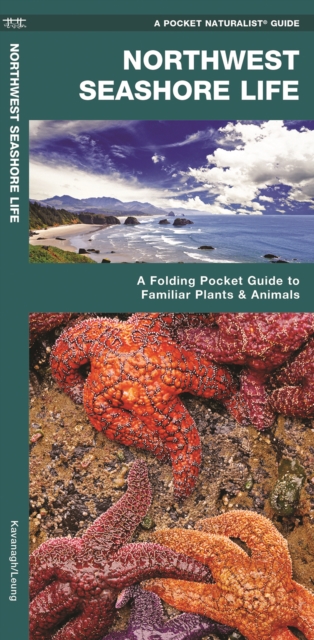 Northwestern Seashore Life : A Folding Pocket Guide to Familiar Plants & Animals, Pamphlet Book