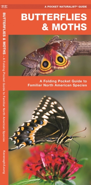Butterflies & Moths : A Folding Pocket Guide to Familiar North American Species, Pamphlet Book