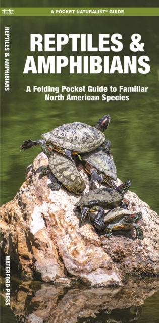 Reptiles & Amphibians : A Folding Pocket Guide to Familiar North American Species, Pamphlet Book