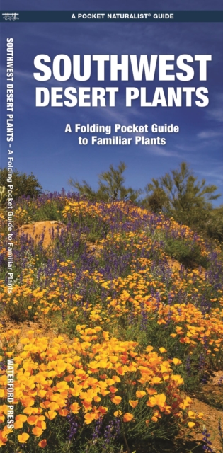 Southwestern Desert Plants : A Folding Pocket Guide to Familiar Species, Pamphlet Book