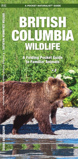 British Columbia Wildlife : A Folding Pocket Guide to Familiar Species, Pamphlet Book