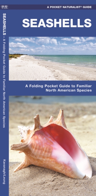 Seashells : A Folding Pocket Guide to Familiar North American Species, Pamphlet Book