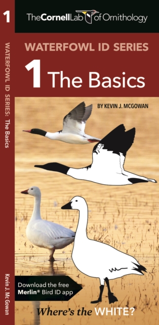 The Cornell Lab of Ornithology Waterfowl ID 1 The Basics, Pamphlet Book