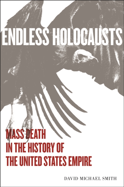Endless Holocausts : Mass Death in the History of the United States Empire, EPUB eBook