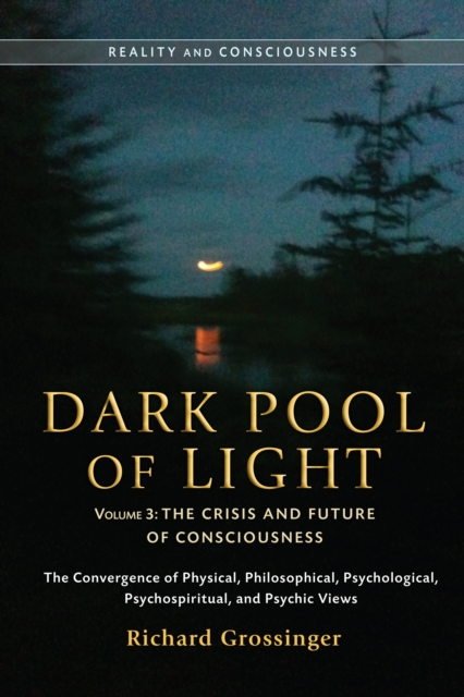 Dark Pool Of Light, Volume Three, Paperback / softback Book