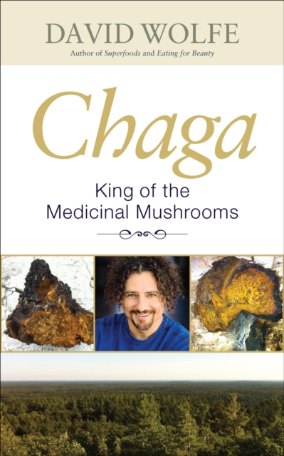 Chaga, Paperback / softback Book