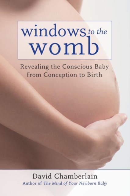 Windows to the Womb, EPUB eBook