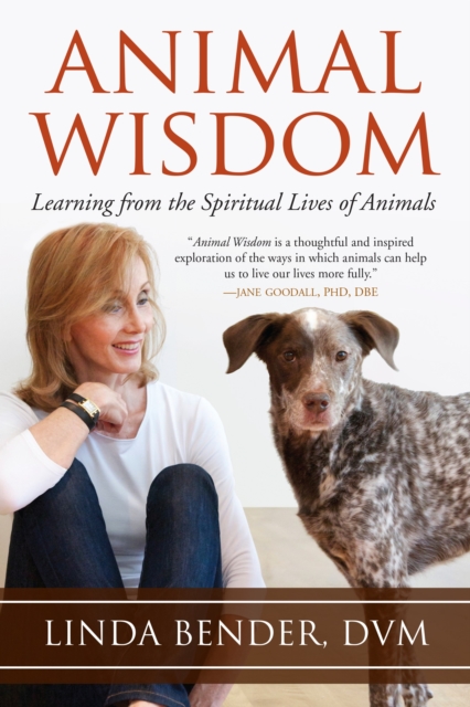 Animal Wisdom : Learning from the Spiritual Lives of Animals, Paperback / softback Book