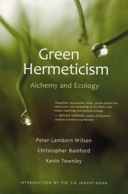 Green Hermeticism : Alchemy and Ecology, Paperback / softback Book