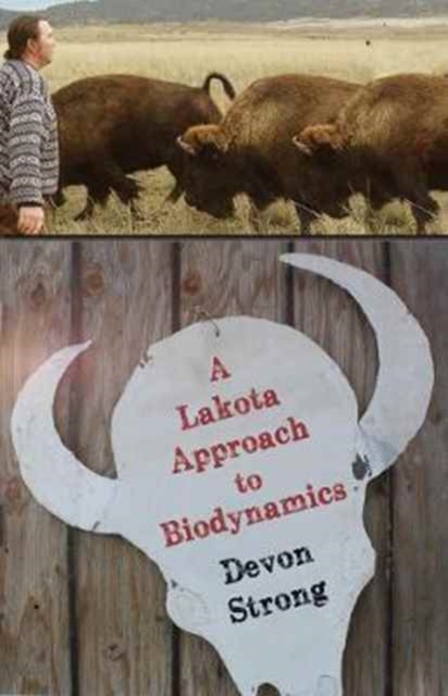 A Lakota Approach to Biodynamics : Taking Life Seriously, Paperback / softback Book