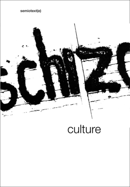 Schizo-Culture : The Event, The Book 2-vol. set, Paperback / softback Book