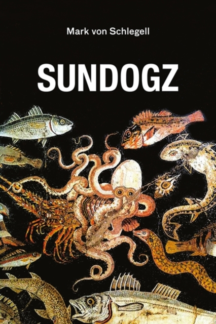 Sundogz, Paperback / softback Book