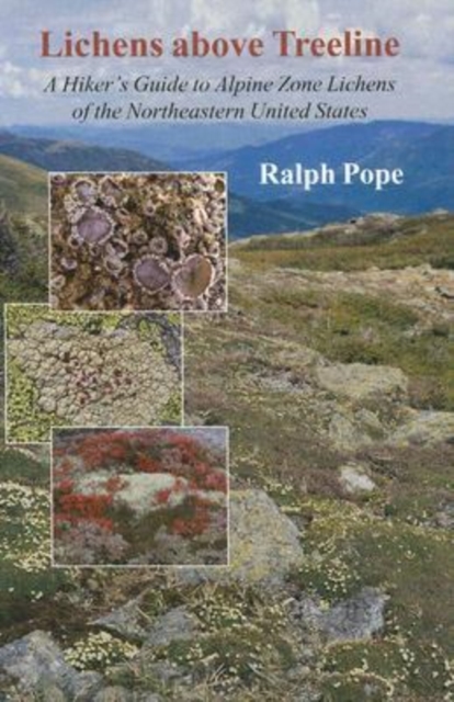 Lichens Above Treeline : A Hiker's Guide to Alpine Zone Lichens of the Northeastern U.S., Paperback Book