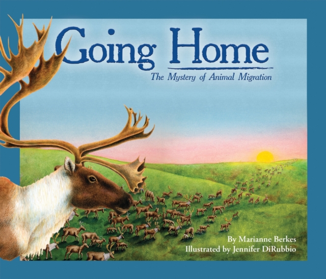Going Home : The Mystery of Animal Migration, Paperback / softback Book