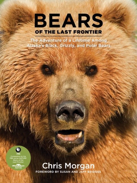 Bears of the Last Frontier, Hardback Book