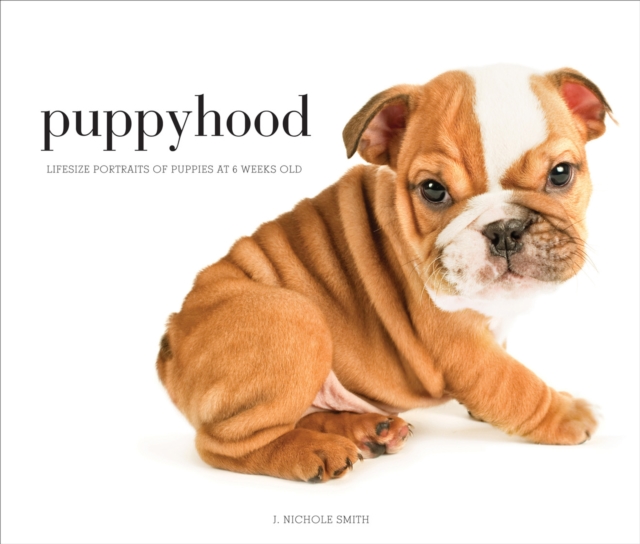 Puppyhood : Life-size Portraits of Puppies at 6 Weeks Old, Hardback Book