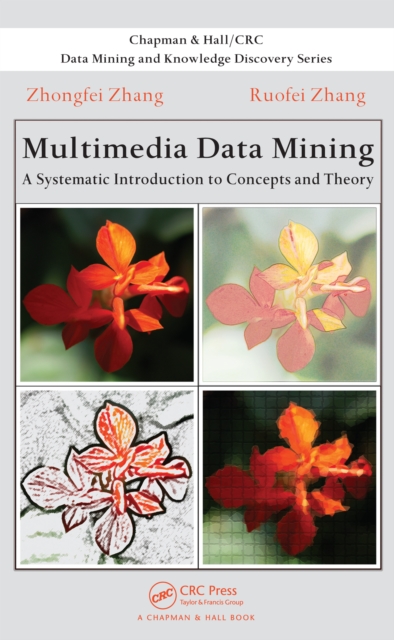 Multimedia Data Mining : A Systematic Introduction to Concepts and Theory, PDF eBook