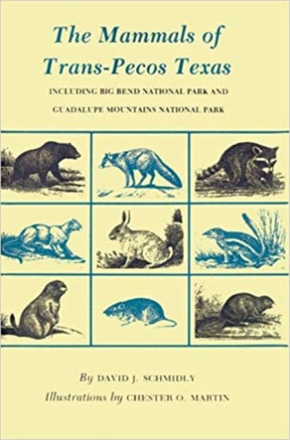 Mammals of Trans-Pecos Texas : Including Big Bend National Park and Guadalupe Mountains National Park, Paperback / softback Book