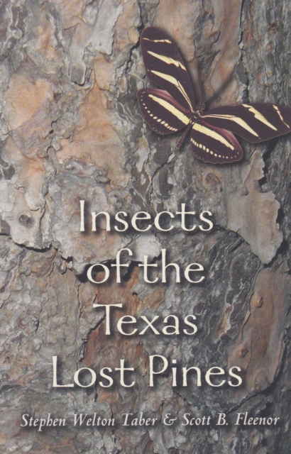 Insects of the Texas Lost Pines, Paperback / softback Book