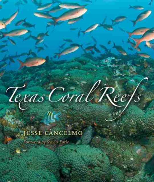 Texas Coral Reefs, Hardback Book