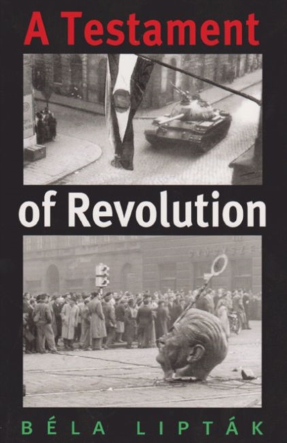 A Testament of Revolution, Paperback / softback Book