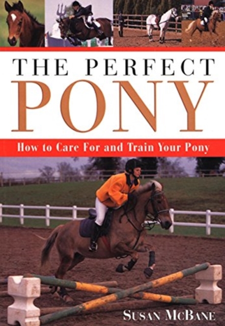 Perfect Pony : How to Care for, Paperback / softback Book