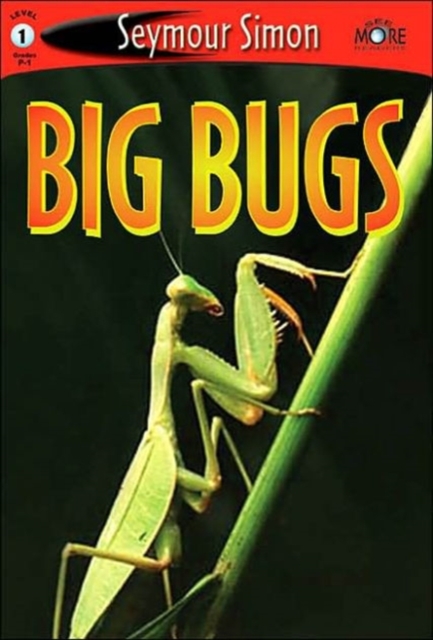 Big Bugs, Paperback / softback Book